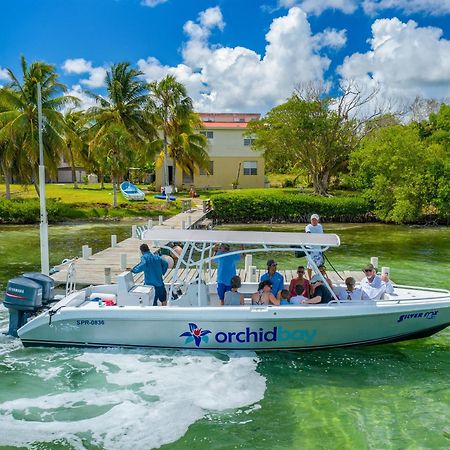 Orchid Bay Resort Corozal Dış mekan fotoğraf
