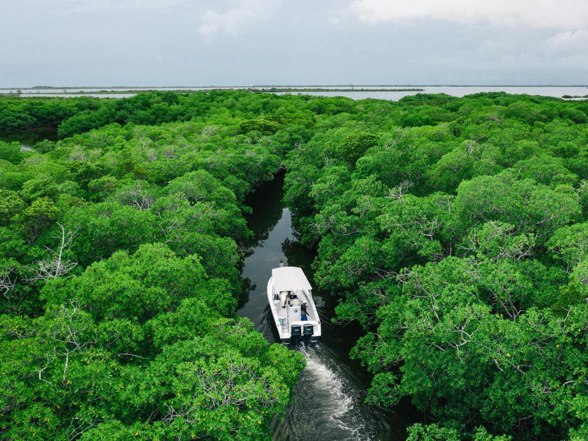 Orchid Bay Resort Corozal Dış mekan fotoğraf