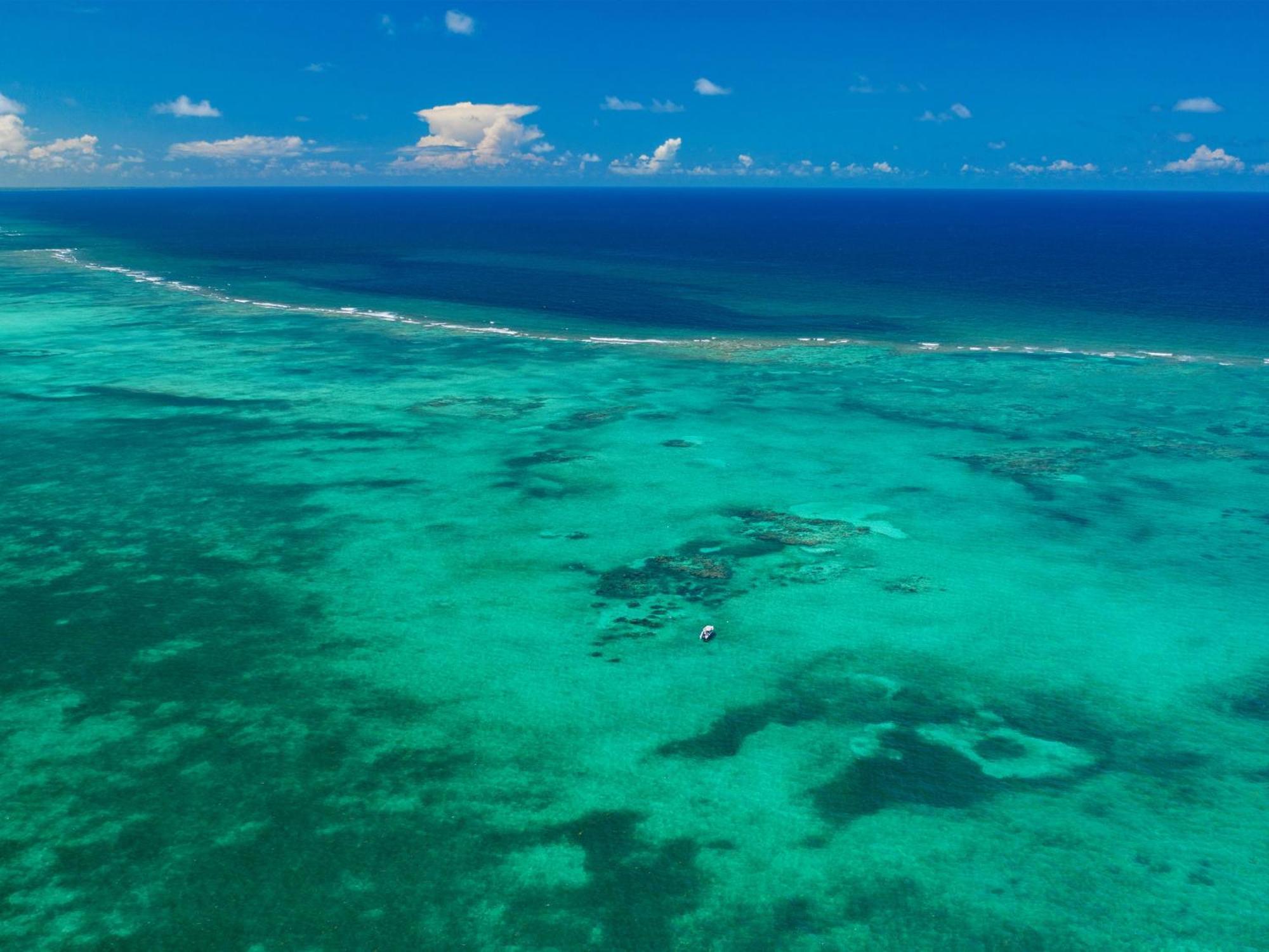 Orchid Bay Resort Corozal Dış mekan fotoğraf