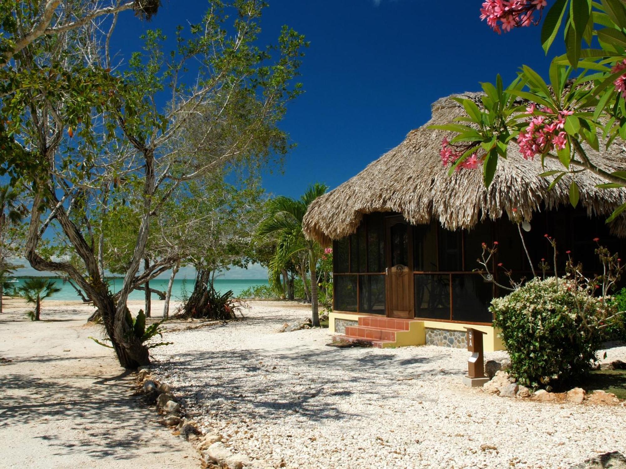 Orchid Bay Resort Corozal Oda fotoğraf
